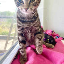 Thumbnail photo of Leah #2