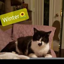 Thumbnail photo of Winter #1