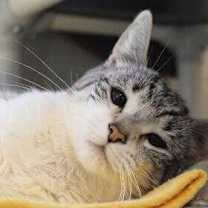 Thumbnail photo of Stormie #1