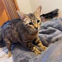 Thumbnail photo of Ursa #2