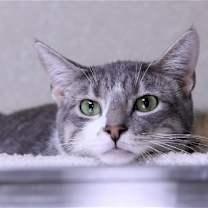 Thumbnail photo of Gabe #3