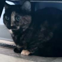 Thumbnail photo of Delilah Bard #2