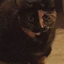 Thumbnail photo of Delilah Bard #3