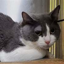 Thumbnail photo of Ted #1