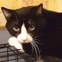 Thumbnail photo of Bill #1