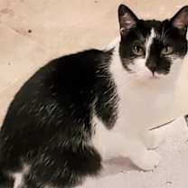 Thumbnail photo of Her Majesty #2