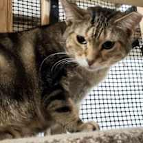 Thumbnail photo of Benjamin #1