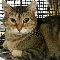 Thumbnail photo of Benjamin #2