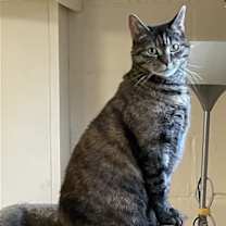 Thumbnail photo of Jenny #1