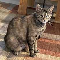 Thumbnail photo of Jenny #3