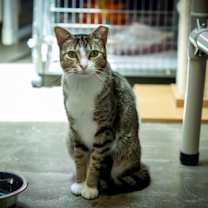Thumbnail photo of Marcy #1