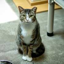 Thumbnail photo of Marcy #2