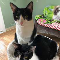 Thumbnail photo of Maxine #4