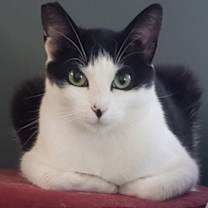 Thumbnail photo of Ava (Courtesy Post) #3