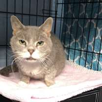 Thumbnail photo of Barney #3