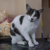 Thumbnail photo of Mary Khan #1