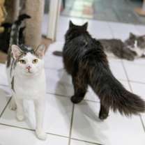 Thumbnail photo of Dale #2