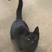 Thumbnail photo of Neptune #1