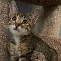 Thumbnail photo of Louise #4