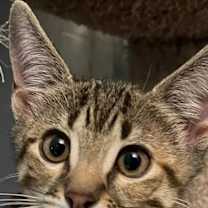 Thumbnail photo of Louise #2