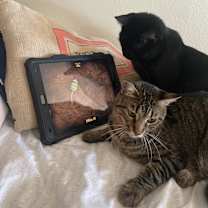 Thumbnail photo of ABEL #3