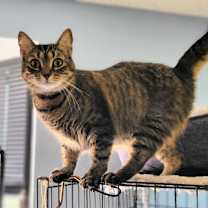 Thumbnail photo of Holly #2