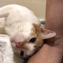 Thumbnail photo of Sunny Side Up #1