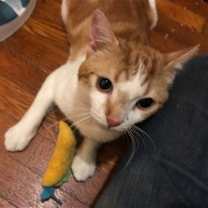 Thumbnail photo of Sunny Side Up #2