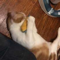 Thumbnail photo of Sunny Side Up #3