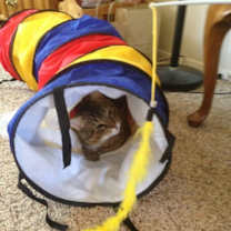 Thumbnail photo of Rodger #4