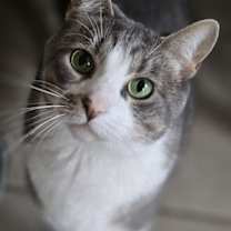 Thumbnail photo of Emma #1