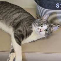 Thumbnail photo of Emma #2