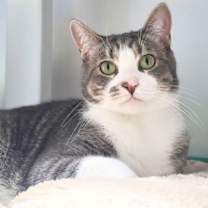 Thumbnail photo of Emma #3