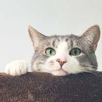 Thumbnail photo of Emma #4