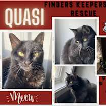 Thumbnail photo of Quasi #1