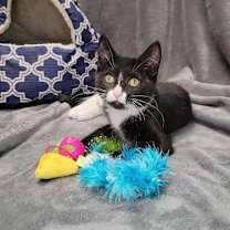 Thumbnail photo of Rebecca #2