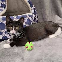 Thumbnail photo of Rebecca #4