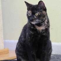 Thumbnail photo of Clover #1