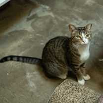 Thumbnail photo of Marcy #4