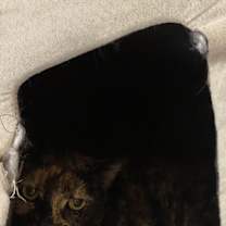 Thumbnail photo of Spook #2