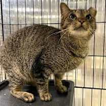 Thumbnail photo of Sunset #4