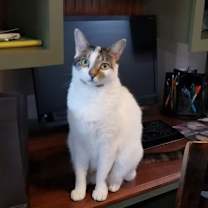 Thumbnail photo of Flower #3