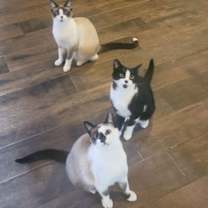 Thumbnail photo of Thora #2