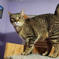 Thumbnail photo of Lilly - AD #2