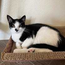 Thumbnail photo of Spot #3