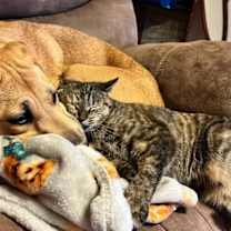 Thumbnail photo of Lass #2