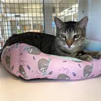 Thumbnail photo of Broc #1