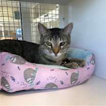 Thumbnail photo of Broc #2