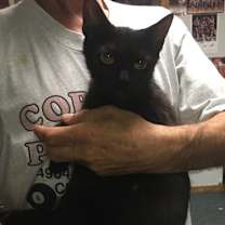 Thumbnail photo of Britney bonded with Betsy #4