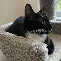 Thumbnail photo of Gwendoline #3